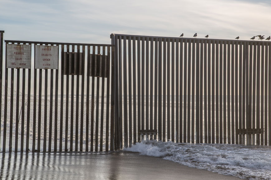 海鸟坐在圣地亚哥外的海洋中的西班牙语和英语的篱笆上