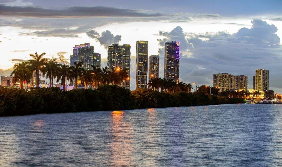 这是一张从水面上看迈阿密天际线的照片，前景是棕榈树，后面是日落时分的高楼大厦