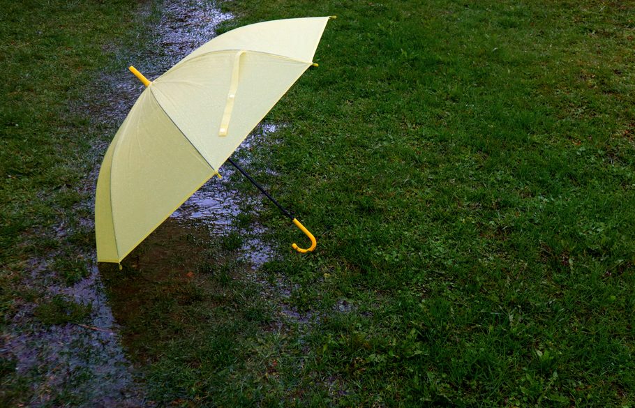 一把黄色的伞放在浅水池附近被雨水浸湿的草地上。