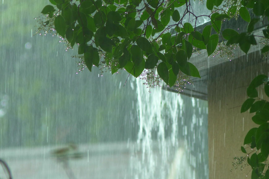 大雨使水从屋檐和树枝上倾泻而下