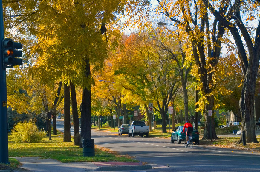 一个骑自行车的人骑在街道上，街道上覆盖着秋天颜色的成熟的落叶树