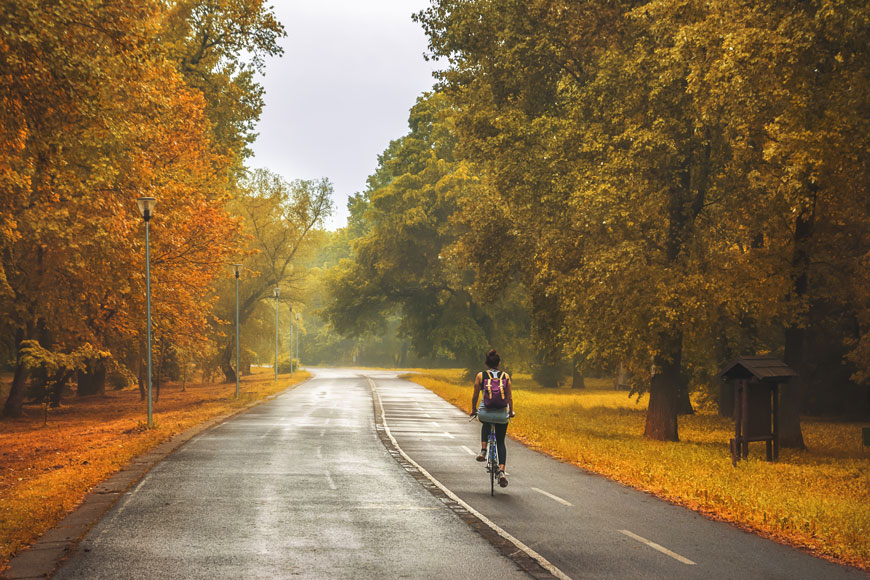 骑自行车队的一个人沿着一辆自行车道路穿过一条公园在秋天