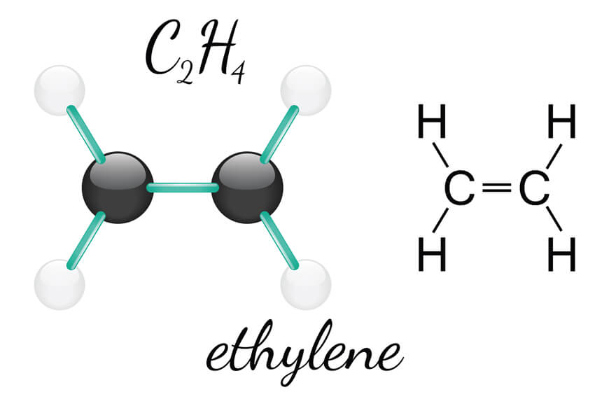 乙烯分子三维模型及键结构