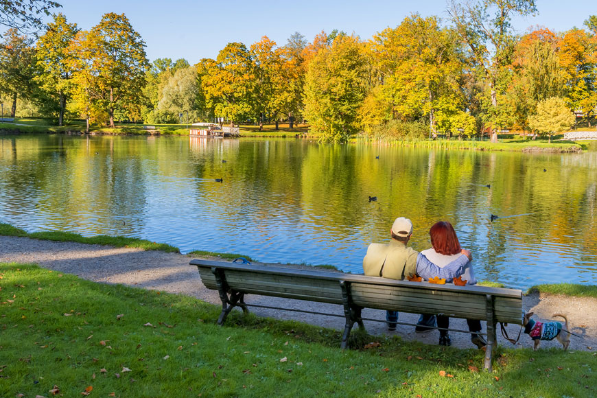 一对夫妇靠在公园的长椅上，俯瞰着一个湖，他们的狗拴在身边