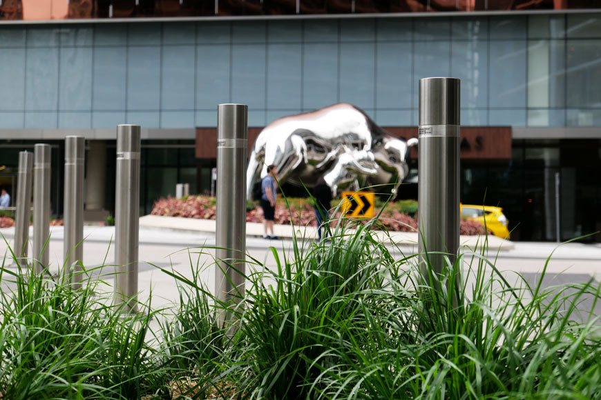 在草地旁边有一系列系列的绑有银色金融牛雕像