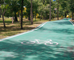 美丽的帕克兰自行车道穿过树木繁茂的区域