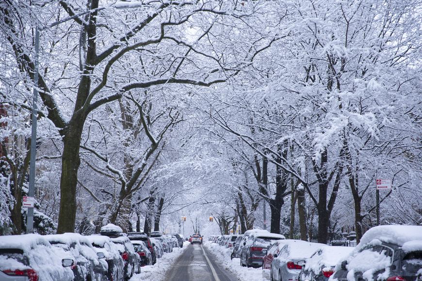 雪覆盖树线一条住宅街