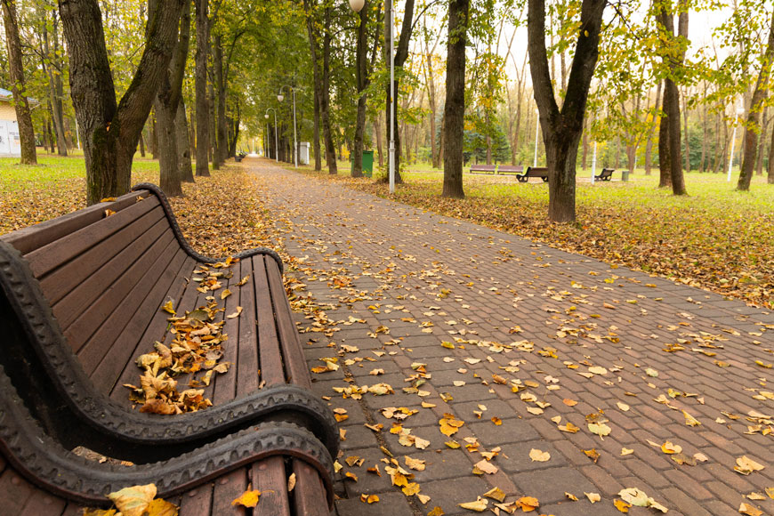 棕色木塑料复合长凳上有有趣的凸起图案，覆盖着黄色的叶子。